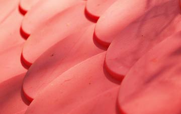 Borthwick plastic roof costs